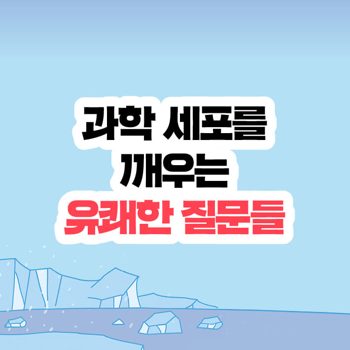 카드뉴스3