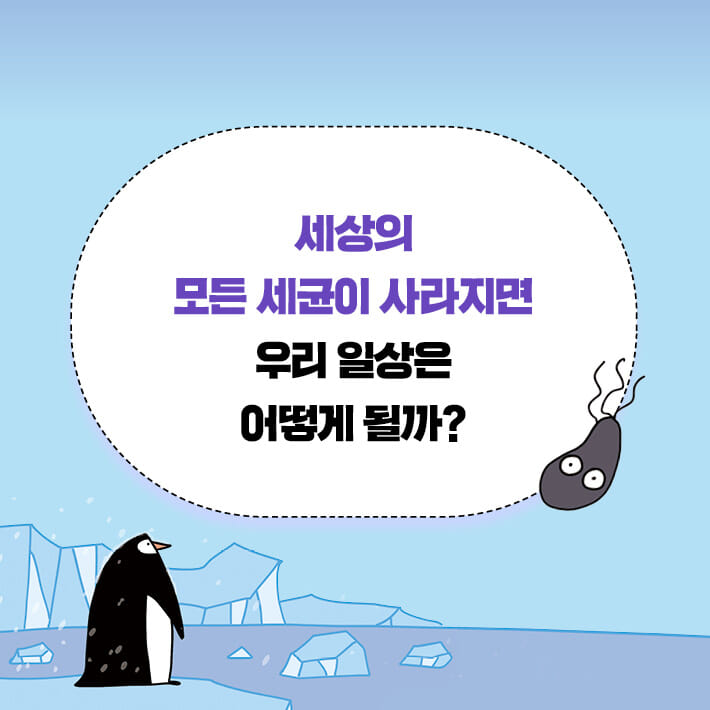 카드뉴스4