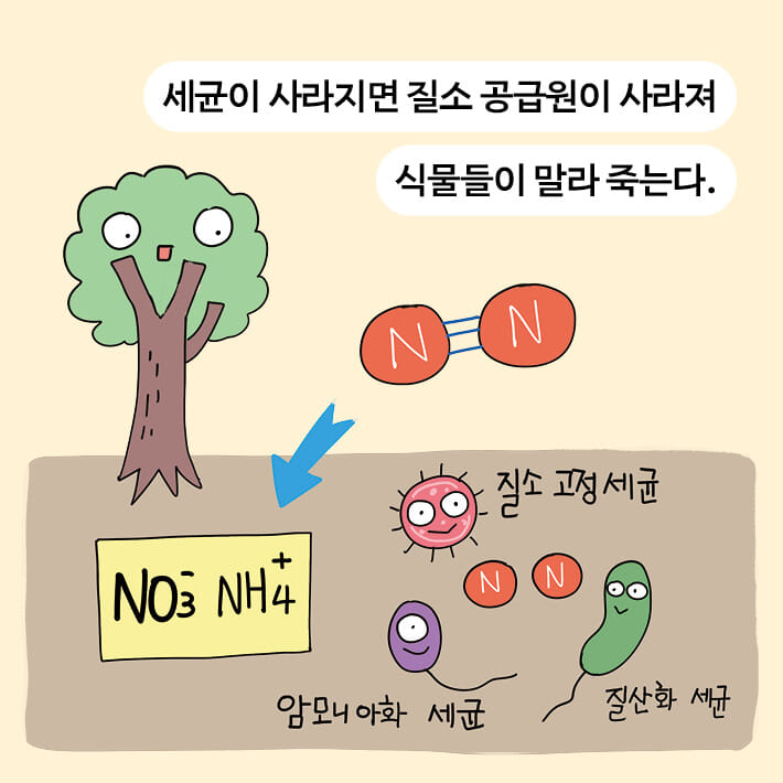 카드뉴스8