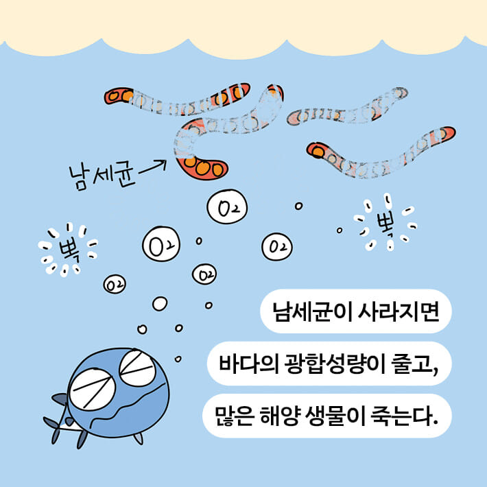 카드뉴스9
