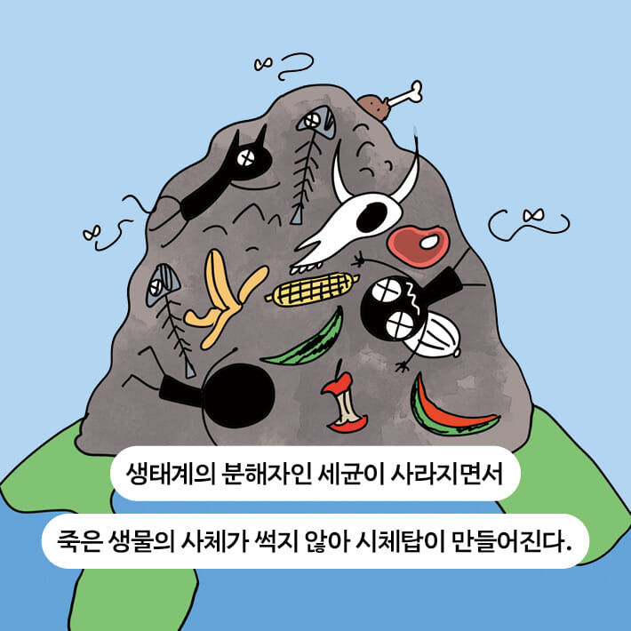 카드뉴스10
