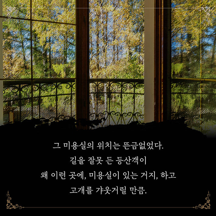 카드뉴스2