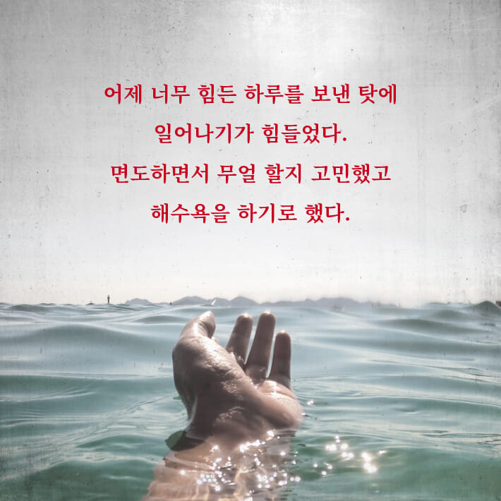 카드뉴스2