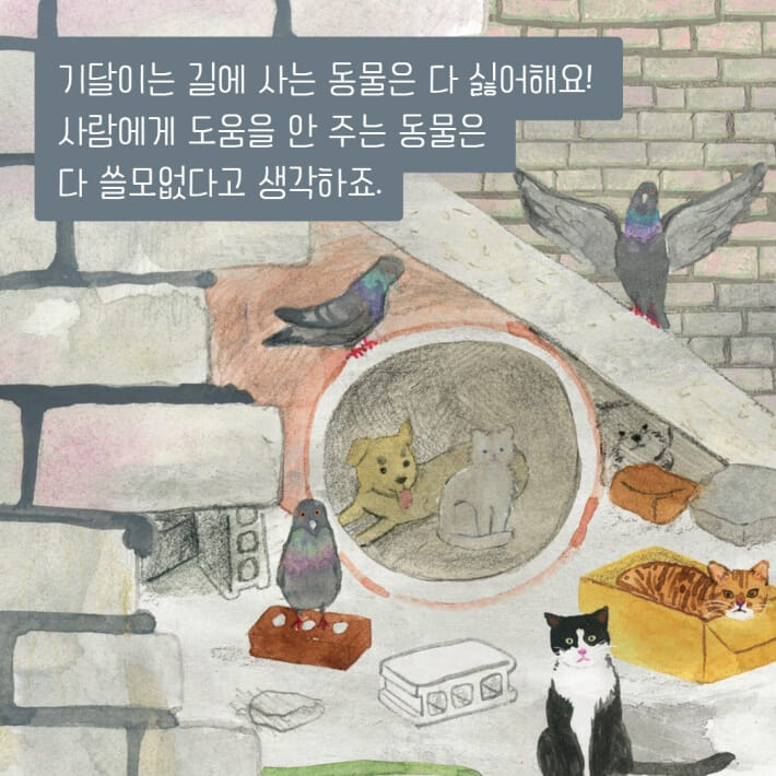 카드뉴스2