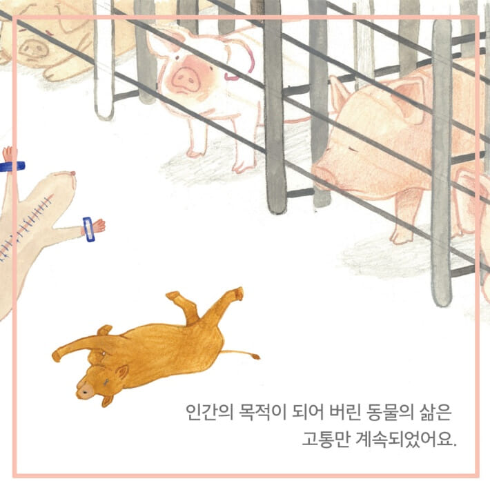카드뉴스5