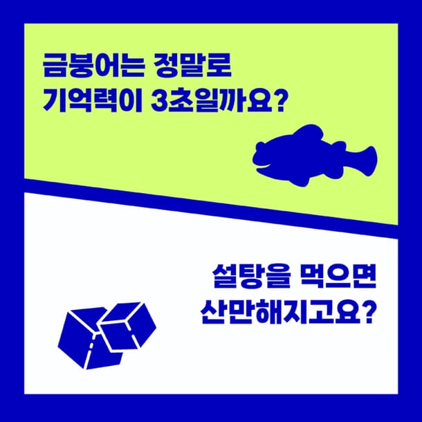 카드뉴스1
