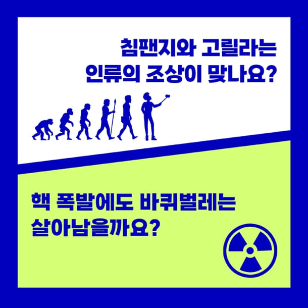 카드뉴스2