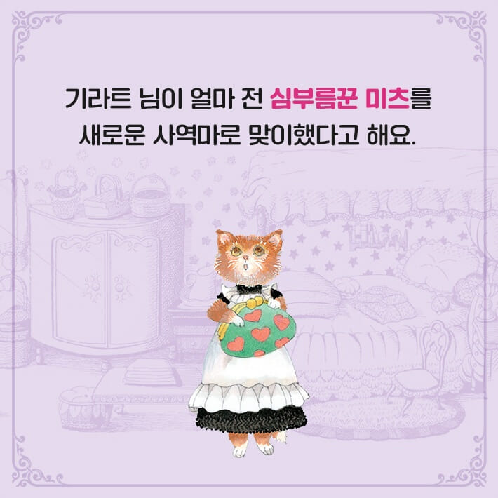 카드뉴스3