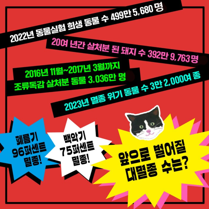 카드뉴스6