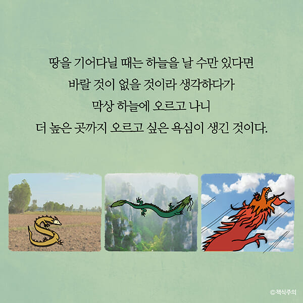 카드뉴스14