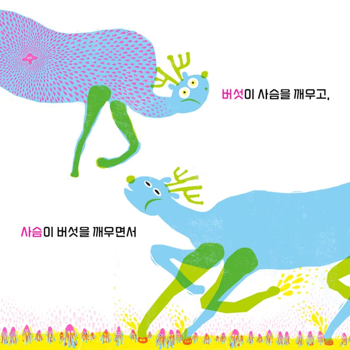 카드뉴스5