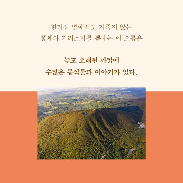 카드뉴스3