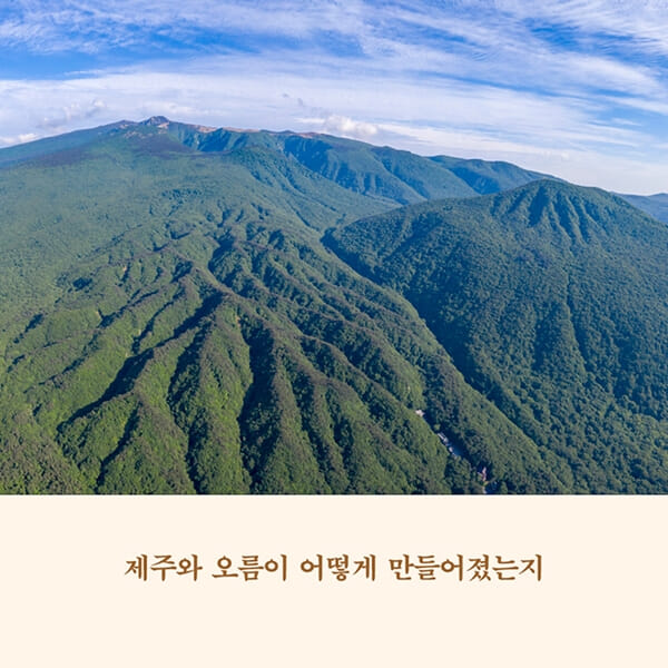 카드뉴스4