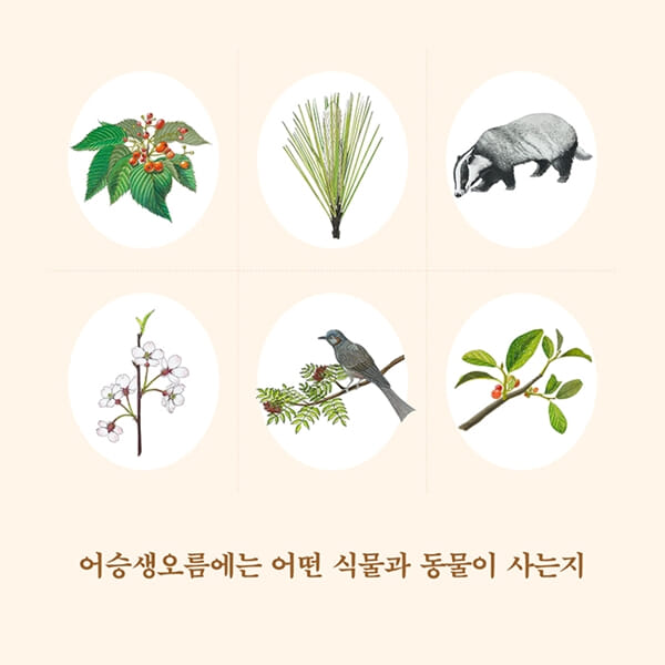 카드뉴스5
