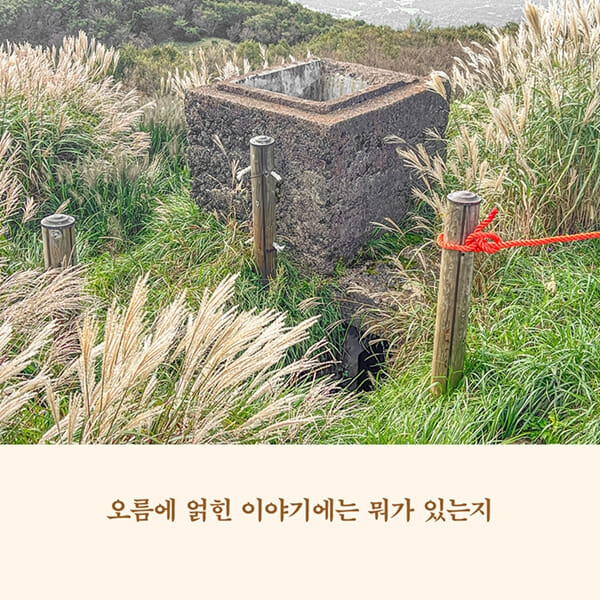 카드뉴스6