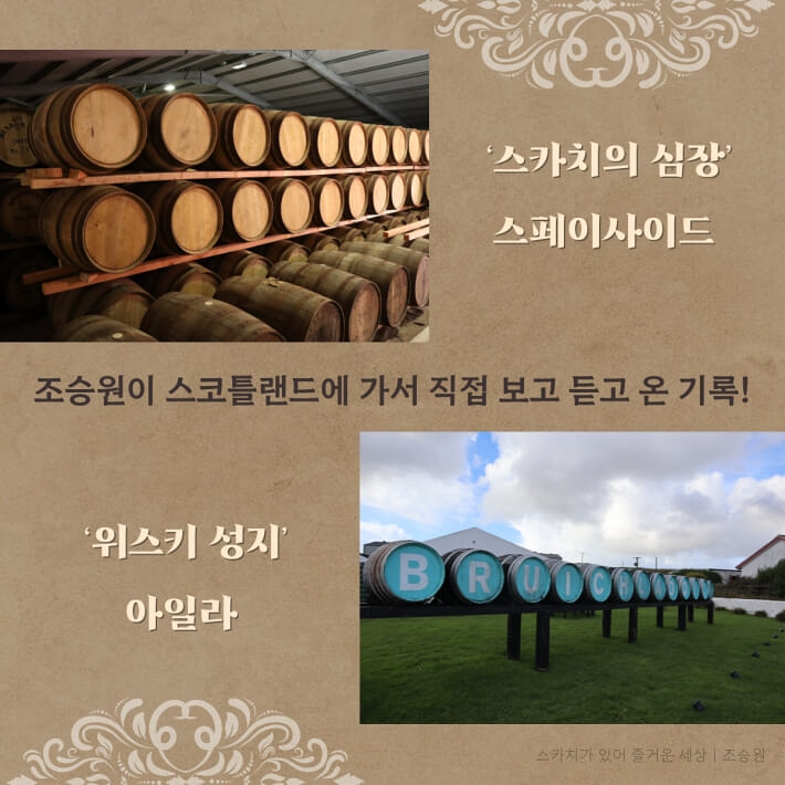 카드뉴스2