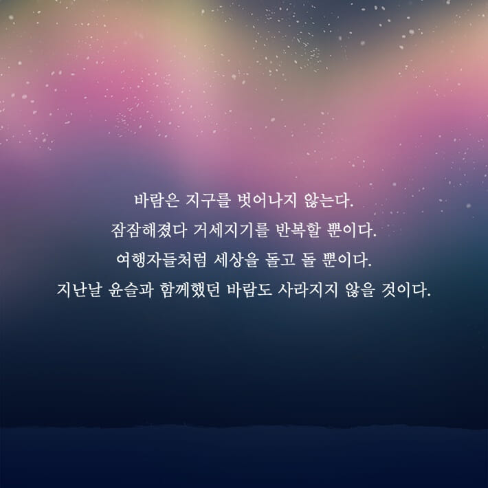 카드뉴스8