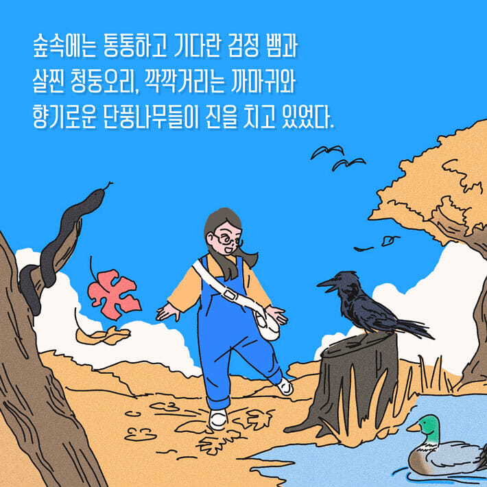 카드뉴스4