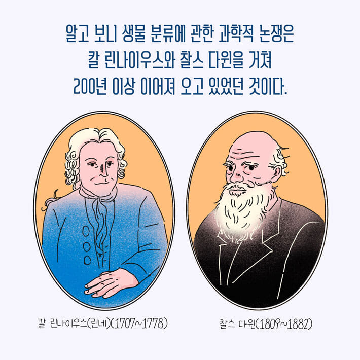 카드뉴스8
