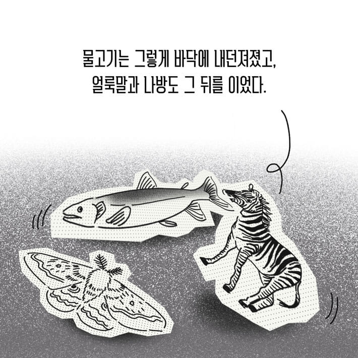카드뉴스11