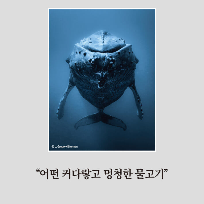 카드뉴스0