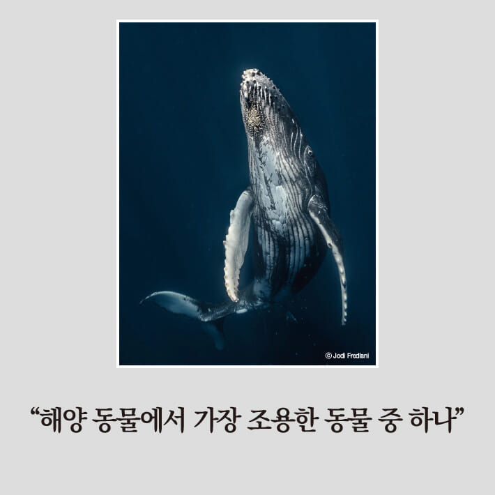 카드뉴스1