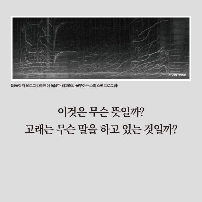 카드뉴스2