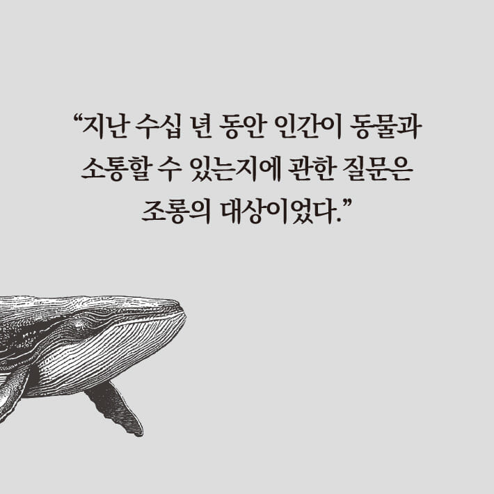 카드뉴스3