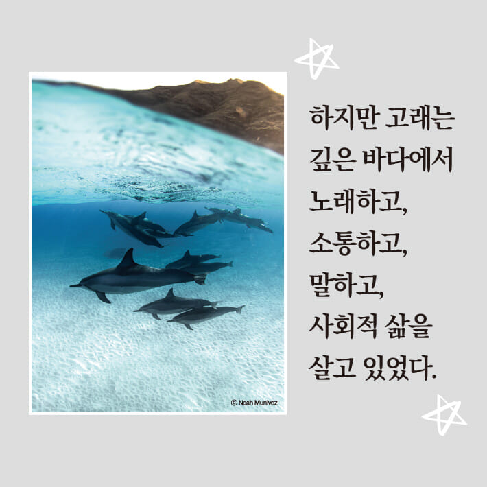 카드뉴스4