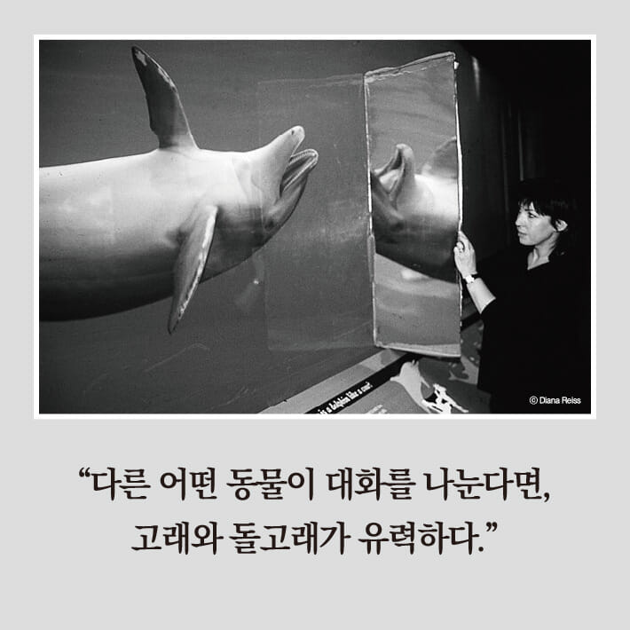 카드뉴스5