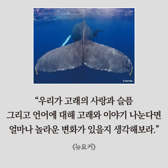 카드뉴스8