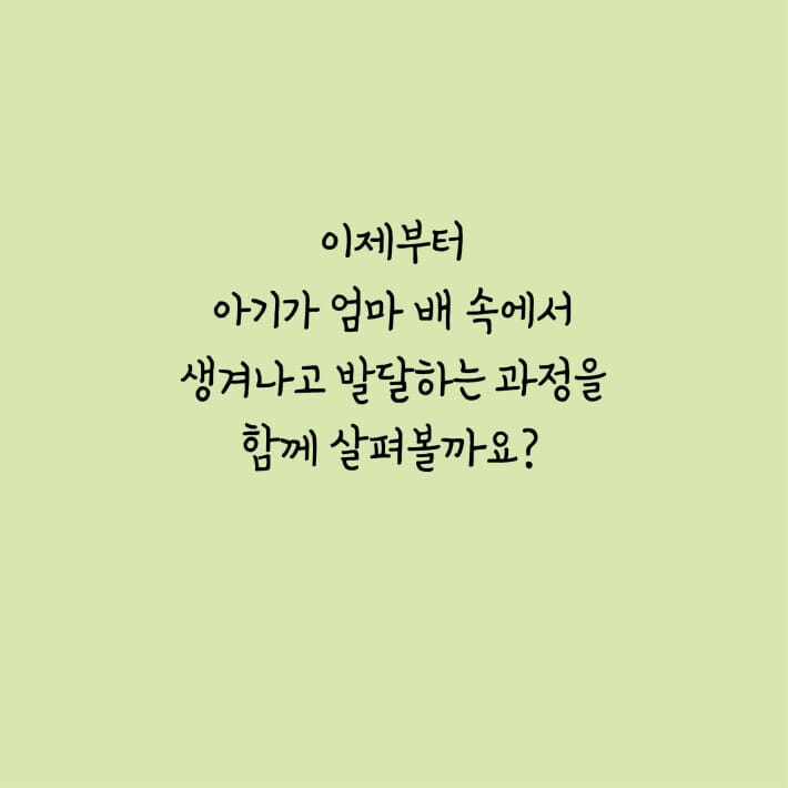 카드뉴스2