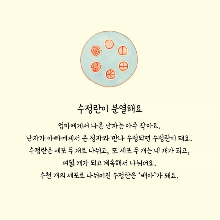 카드뉴스3