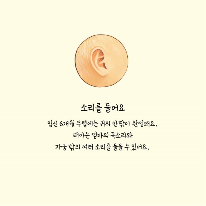 카드뉴스6