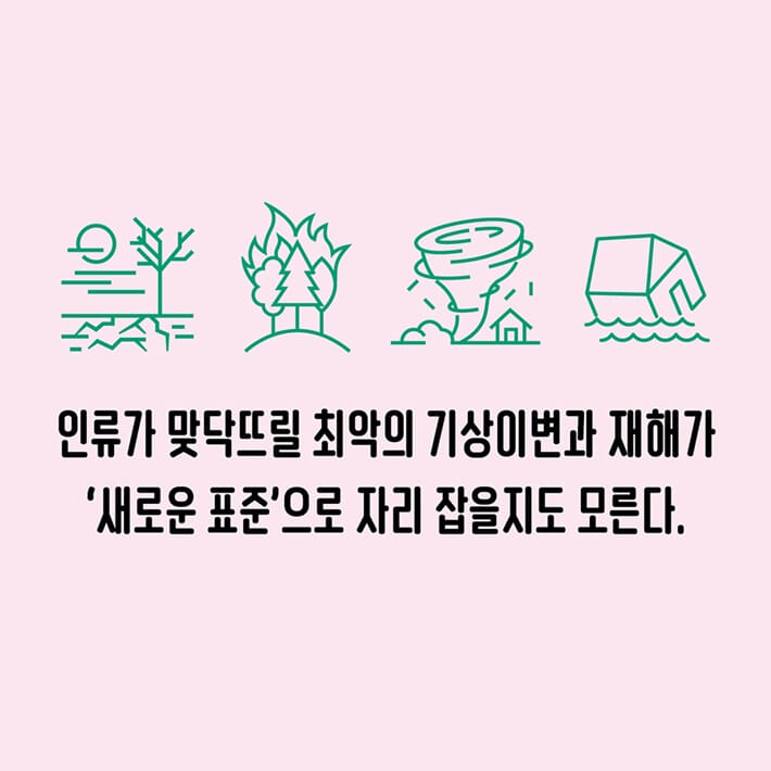 카드뉴스2