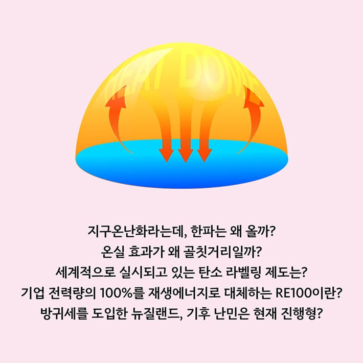카드뉴스5