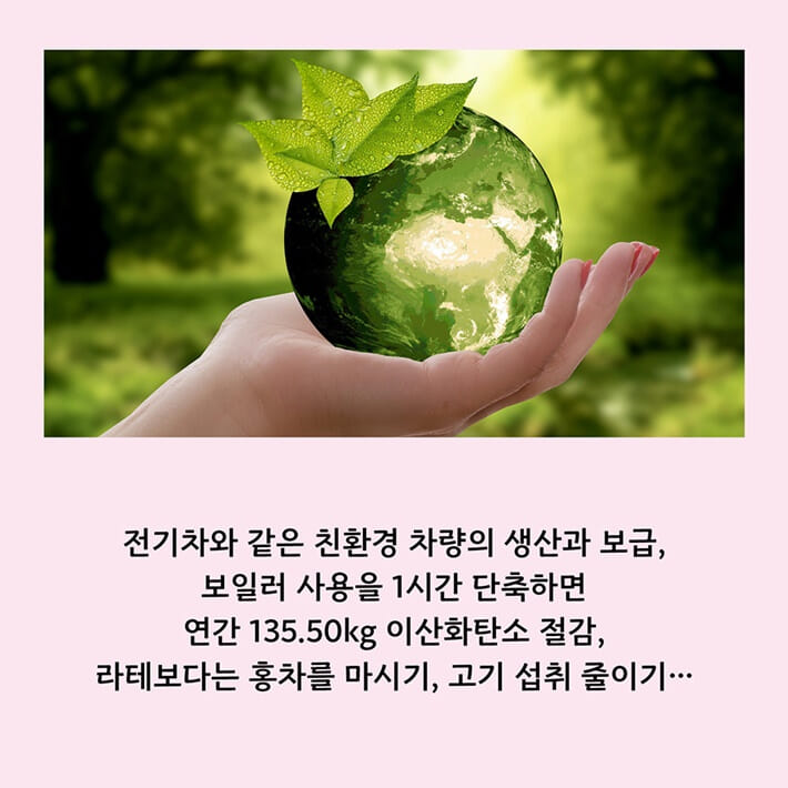 카드뉴스6