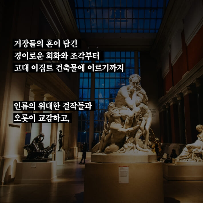카드뉴스6