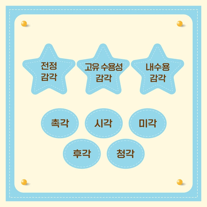 카드뉴스5