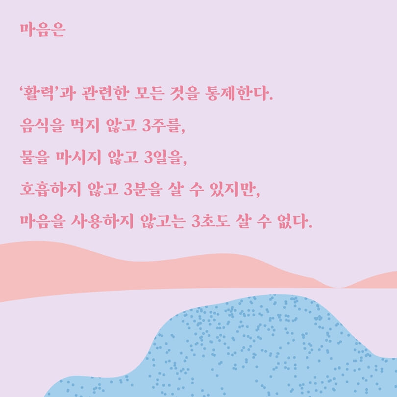 카드뉴스3