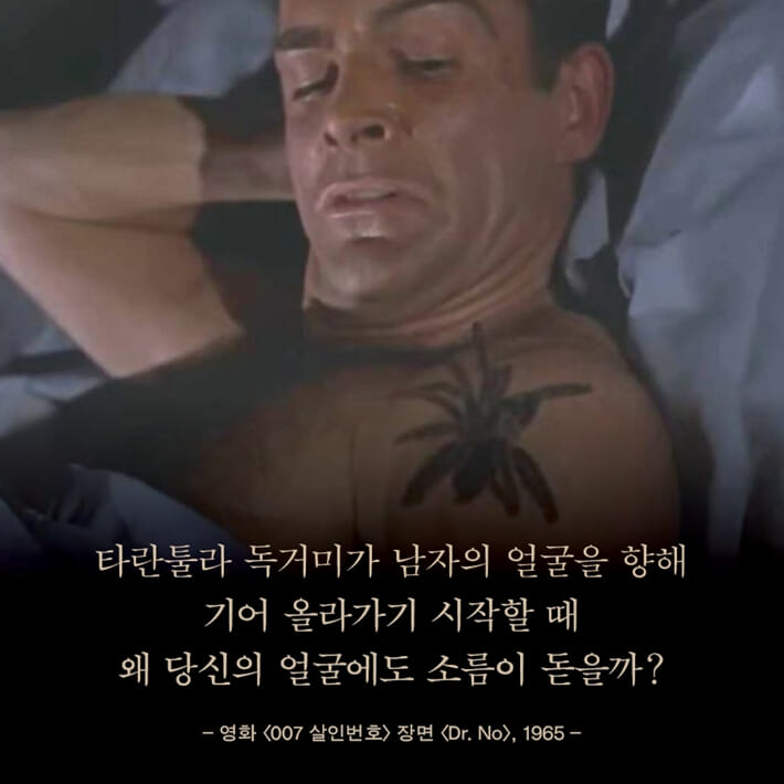 카드뉴스0