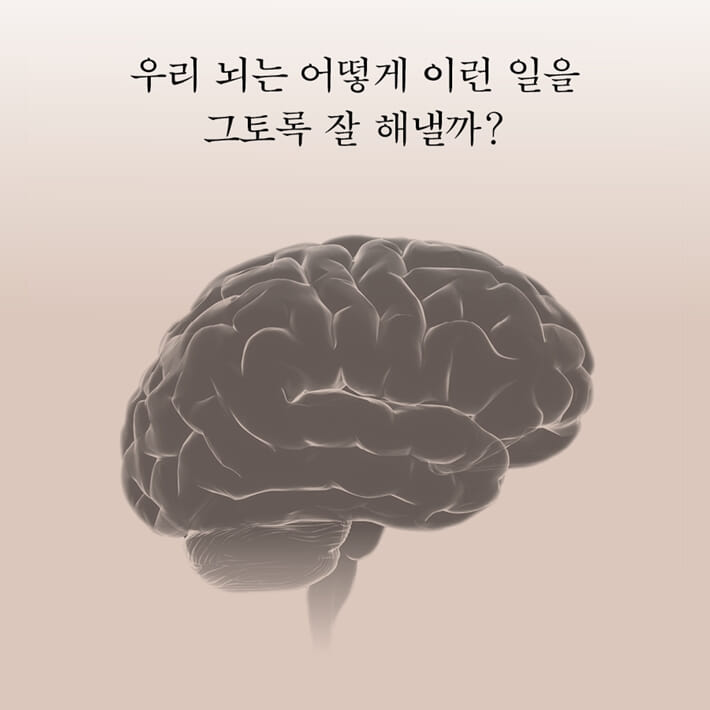 카드뉴스2