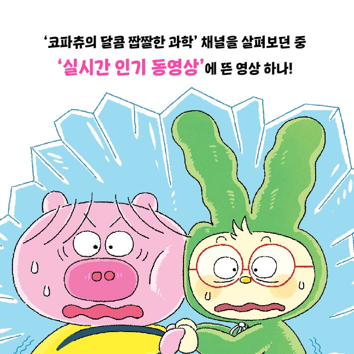 카드뉴스2