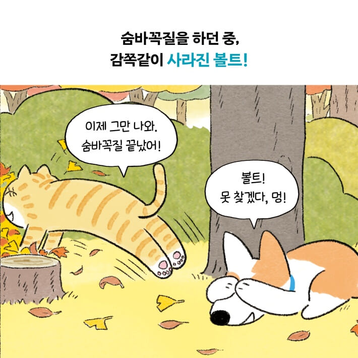 카드뉴스1