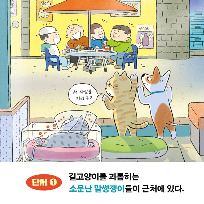 카드뉴스3
