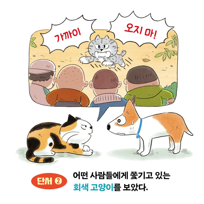 카드뉴스4