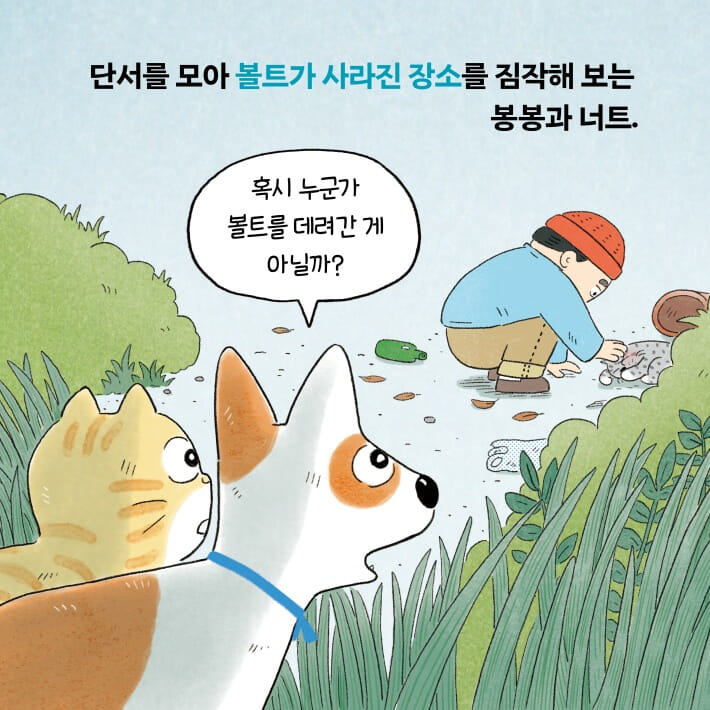 카드뉴스5