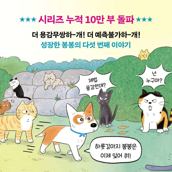카드뉴스7