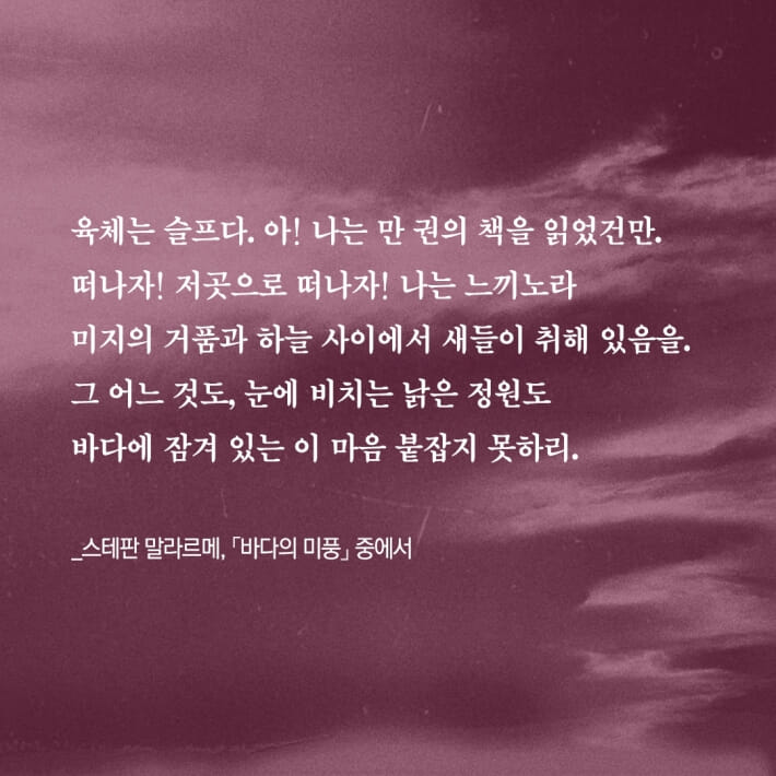 카드뉴스2