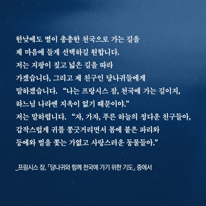 카드뉴스0